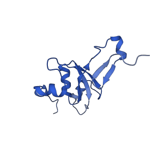 2787_4v19_3_v1-2
Structure of the large subunit of the mammalian mitoribosome, part 1 of 2