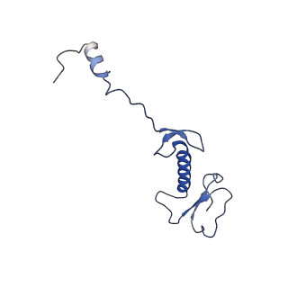 2787_4v19_5_v1-2
Structure of the large subunit of the mammalian mitoribosome, part 1 of 2