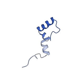 2787_4v19_7_v1-2
Structure of the large subunit of the mammalian mitoribosome, part 1 of 2