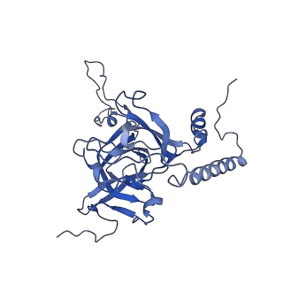 2787_4v19_E_v1-2
Structure of the large subunit of the mammalian mitoribosome, part 1 of 2
