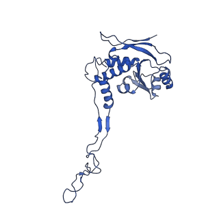 2787_4v19_F_v1-2
Structure of the large subunit of the mammalian mitoribosome, part 1 of 2