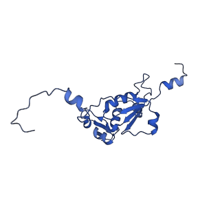 2787_4v19_N_v1-2
Structure of the large subunit of the mammalian mitoribosome, part 1 of 2
