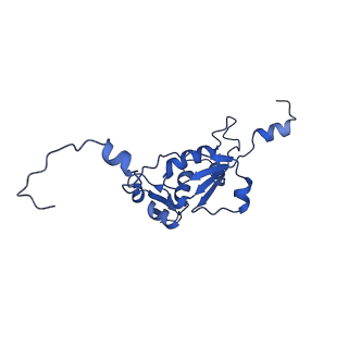 2787_4v19_N_v2-2
Structure of the large subunit of the mammalian mitoribosome, part 1 of 2