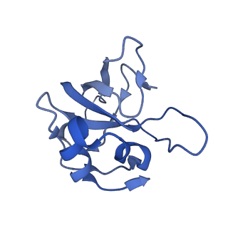 2787_4v19_O_v1-2
Structure of the large subunit of the mammalian mitoribosome, part 1 of 2