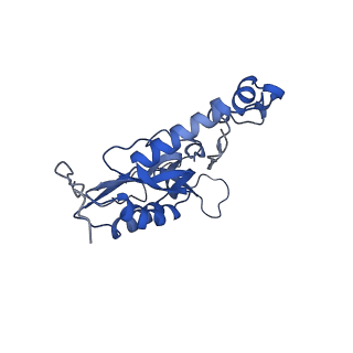 2787_4v19_Q_v1-2
Structure of the large subunit of the mammalian mitoribosome, part 1 of 2