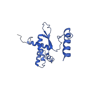 2787_4v19_R_v1-2
Structure of the large subunit of the mammalian mitoribosome, part 1 of 2