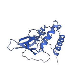2787_4v19_T_v1-2
Structure of the large subunit of the mammalian mitoribosome, part 1 of 2