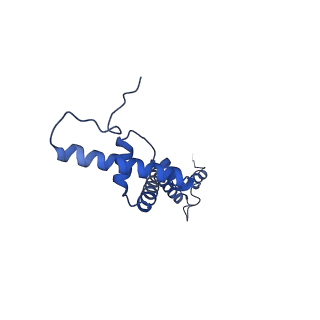 2787_4v19_U_v1-2
Structure of the large subunit of the mammalian mitoribosome, part 1 of 2