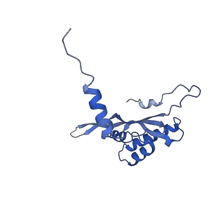 2787_4v19_W_v1-2
Structure of the large subunit of the mammalian mitoribosome, part 1 of 2
