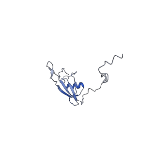 2787_4v19_X_v1-2
Structure of the large subunit of the mammalian mitoribosome, part 1 of 2
