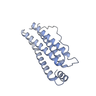 2788_4v1w_C_v1-2
3D structure of horse spleen apoferritin determined by electron cryomicroscopy