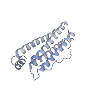 2788_4v1w_H_v1-2
3D structure of horse spleen apoferritin determined by electron cryomicroscopy