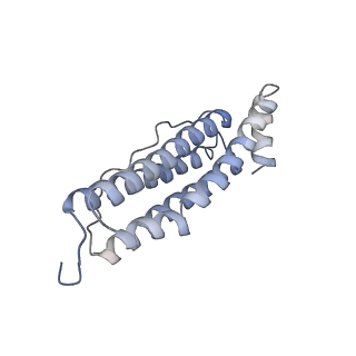 2788_4v1w_L_v1-2
3D structure of horse spleen apoferritin determined by electron cryomicroscopy