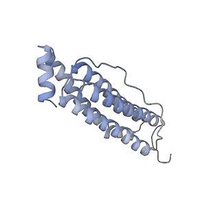 2788_4v1w_P_v1-2
3D structure of horse spleen apoferritin determined by electron cryomicroscopy
