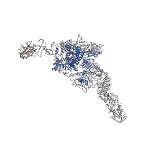 31628_7v1n_A_v1-1
Structure of the Clade 2 C. difficile TcdB in complex with its receptor TFPI