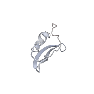 31628_7v1n_K_v1-1
Structure of the Clade 2 C. difficile TcdB in complex with its receptor TFPI