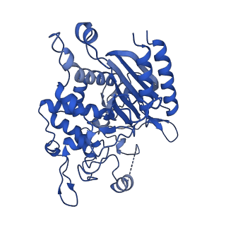 31630_7v1y_A_v1-1
Serine beta-lactamase-like protein LACTB in complex with inhibitor
