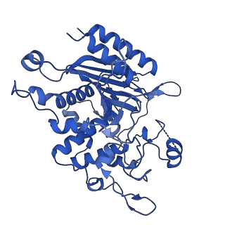 31630_7v1y_B_v1-1
Serine beta-lactamase-like protein LACTB in complex with inhibitor