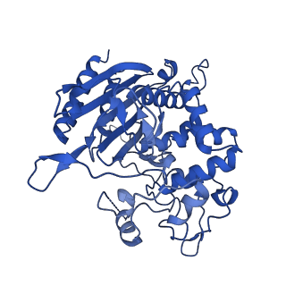 31630_7v1y_C_v1-1
Serine beta-lactamase-like protein LACTB in complex with inhibitor