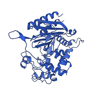 31630_7v1y_D_v1-1
Serine beta-lactamase-like protein LACTB in complex with inhibitor