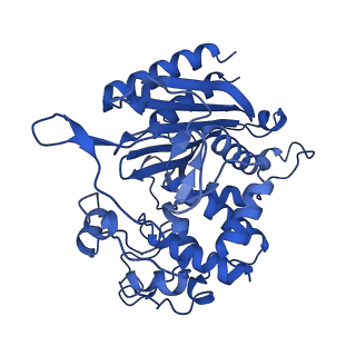 31630_7v1y_D_v2-0
Serine beta-lactamase-like protein LACTB in complex with inhibitor
