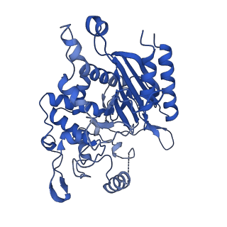 31631_7v1z_A_v1-1
human Serine beta-lactamase-like protein LACTB