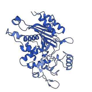 31631_7v1z_B_v1-1
human Serine beta-lactamase-like protein LACTB