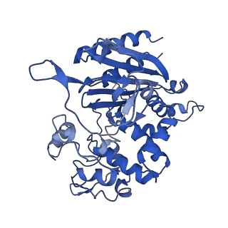 31631_7v1z_C_v1-1
human Serine beta-lactamase-like protein LACTB