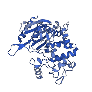 31631_7v1z_D_v1-1
human Serine beta-lactamase-like protein LACTB