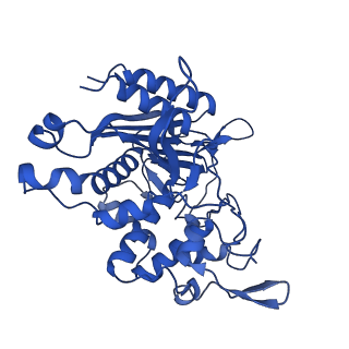 31633_7v21_A_v1-1
human Serine beta-lactamase-like protein LACTB truncation variant