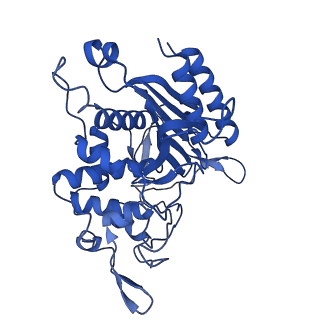 31633_7v21_B_v1-1
human Serine beta-lactamase-like protein LACTB truncation variant