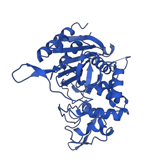 31633_7v21_C_v1-1
human Serine beta-lactamase-like protein LACTB truncation variant