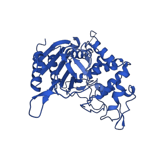 31633_7v21_D_v1-1
human Serine beta-lactamase-like protein LACTB truncation variant