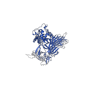 31635_7v23_B_v1-0
CryoEM structure of del68-76/del679-688 prefusion-stabilized spike in complex with the Fab of N12-9