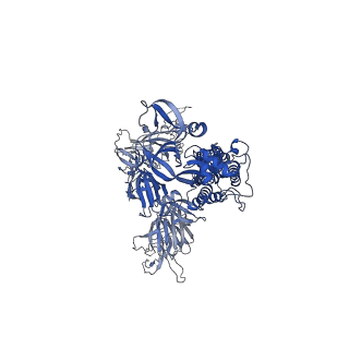 31635_7v23_C_v1-0
CryoEM structure of del68-76/del679-688 prefusion-stabilized spike in complex with the Fab of N12-9