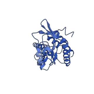 31655_7v2l_B_v1-1
T.thermophilus 30S ribosome with KsgA, class K1k2