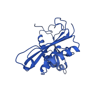 31655_7v2l_C_v1-1
T.thermophilus 30S ribosome with KsgA, class K1k2