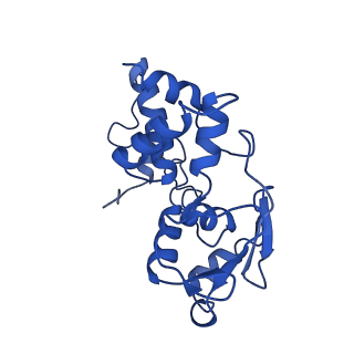 31655_7v2l_D_v1-1
T.thermophilus 30S ribosome with KsgA, class K1k2
