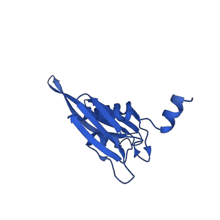 31655_7v2l_E_v1-1
T.thermophilus 30S ribosome with KsgA, class K1k2