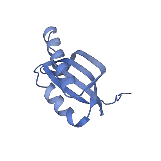 31655_7v2l_F_v1-1
T.thermophilus 30S ribosome with KsgA, class K1k2