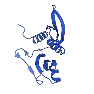 31655_7v2l_H_v1-1
T.thermophilus 30S ribosome with KsgA, class K1k2