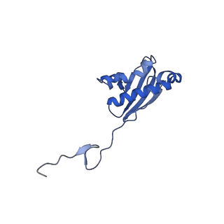 31655_7v2l_I_v1-1
T.thermophilus 30S ribosome with KsgA, class K1k2
