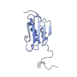 31655_7v2l_K_v1-1
T.thermophilus 30S ribosome with KsgA, class K1k2