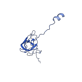 31655_7v2l_L_v1-1
T.thermophilus 30S ribosome with KsgA, class K1k2