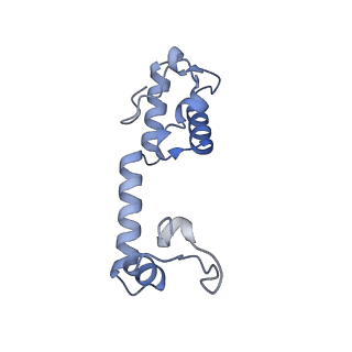 31655_7v2l_M_v1-1
T.thermophilus 30S ribosome with KsgA, class K1k2