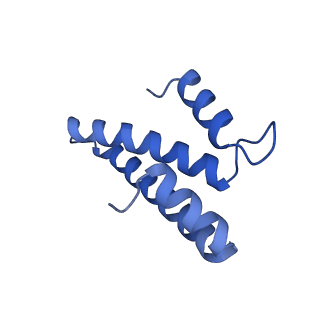 31655_7v2l_O_v1-1
T.thermophilus 30S ribosome with KsgA, class K1k2
