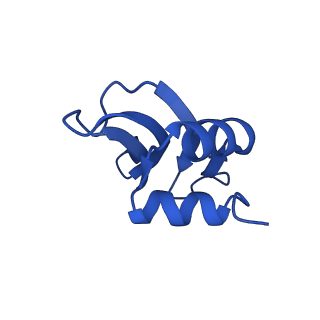 31655_7v2l_P_v1-1
T.thermophilus 30S ribosome with KsgA, class K1k2