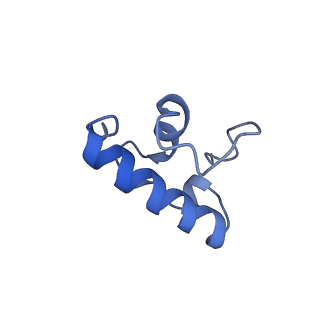 31655_7v2l_R_v1-1
T.thermophilus 30S ribosome with KsgA, class K1k2