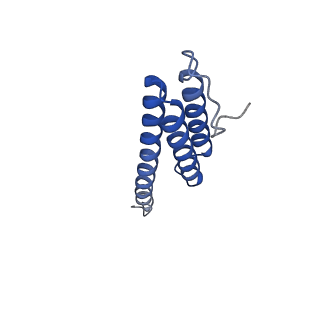31655_7v2l_T_v1-1
T.thermophilus 30S ribosome with KsgA, class K1k2
