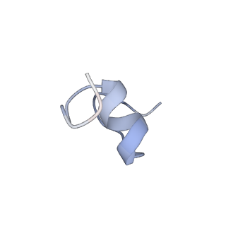 31655_7v2l_V_v1-1
T.thermophilus 30S ribosome with KsgA, class K1k2